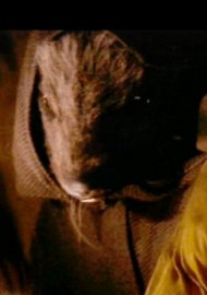 Star Wars IV - A New Hope (1977)